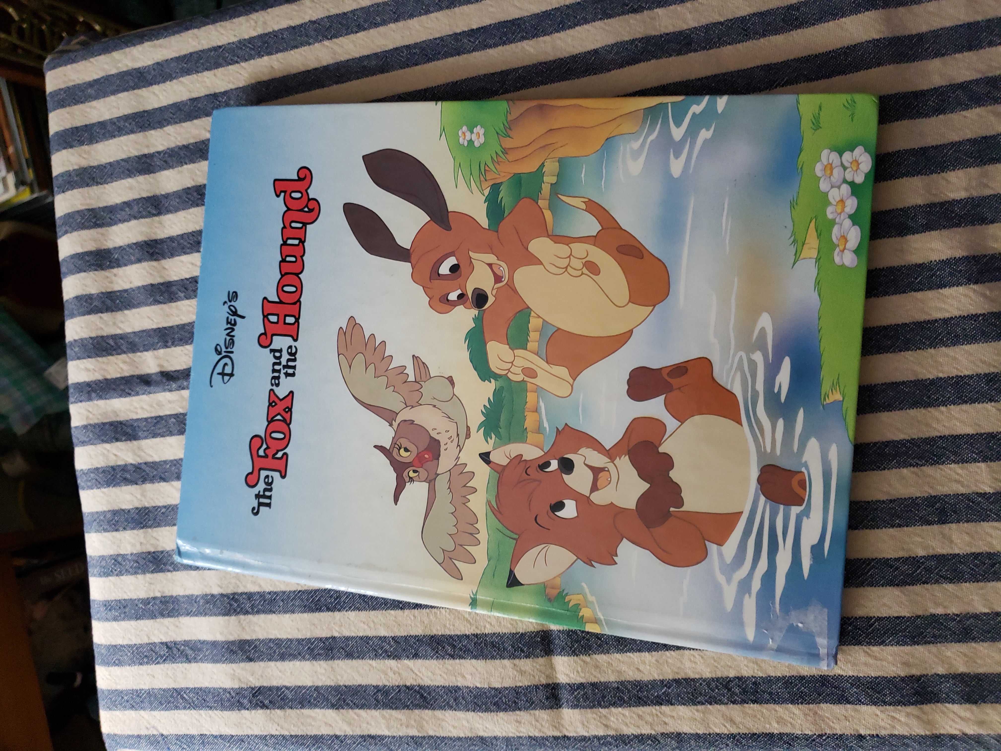 The Fox and the Hound