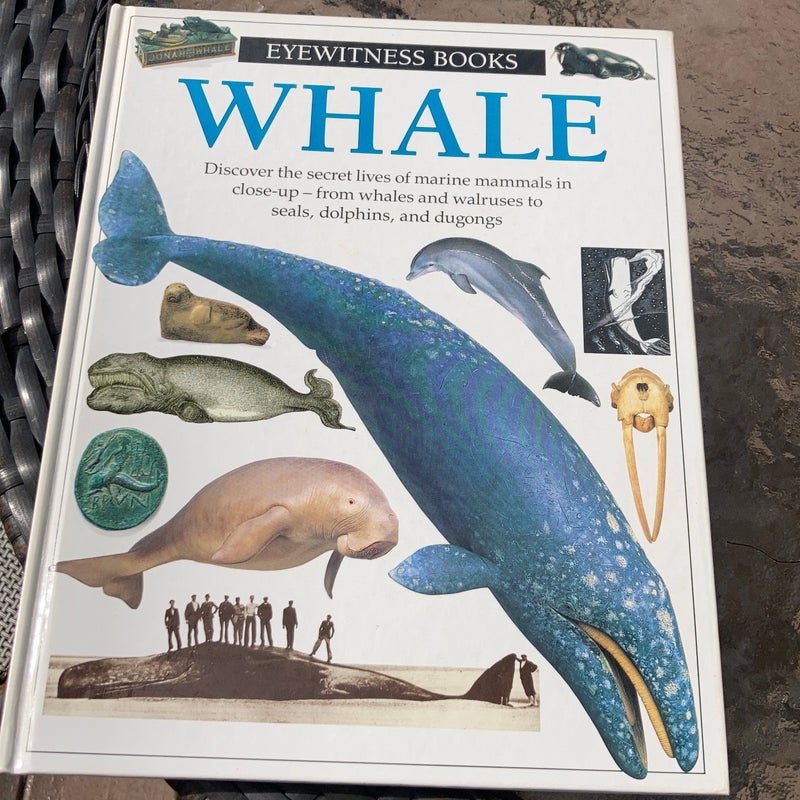 Whale