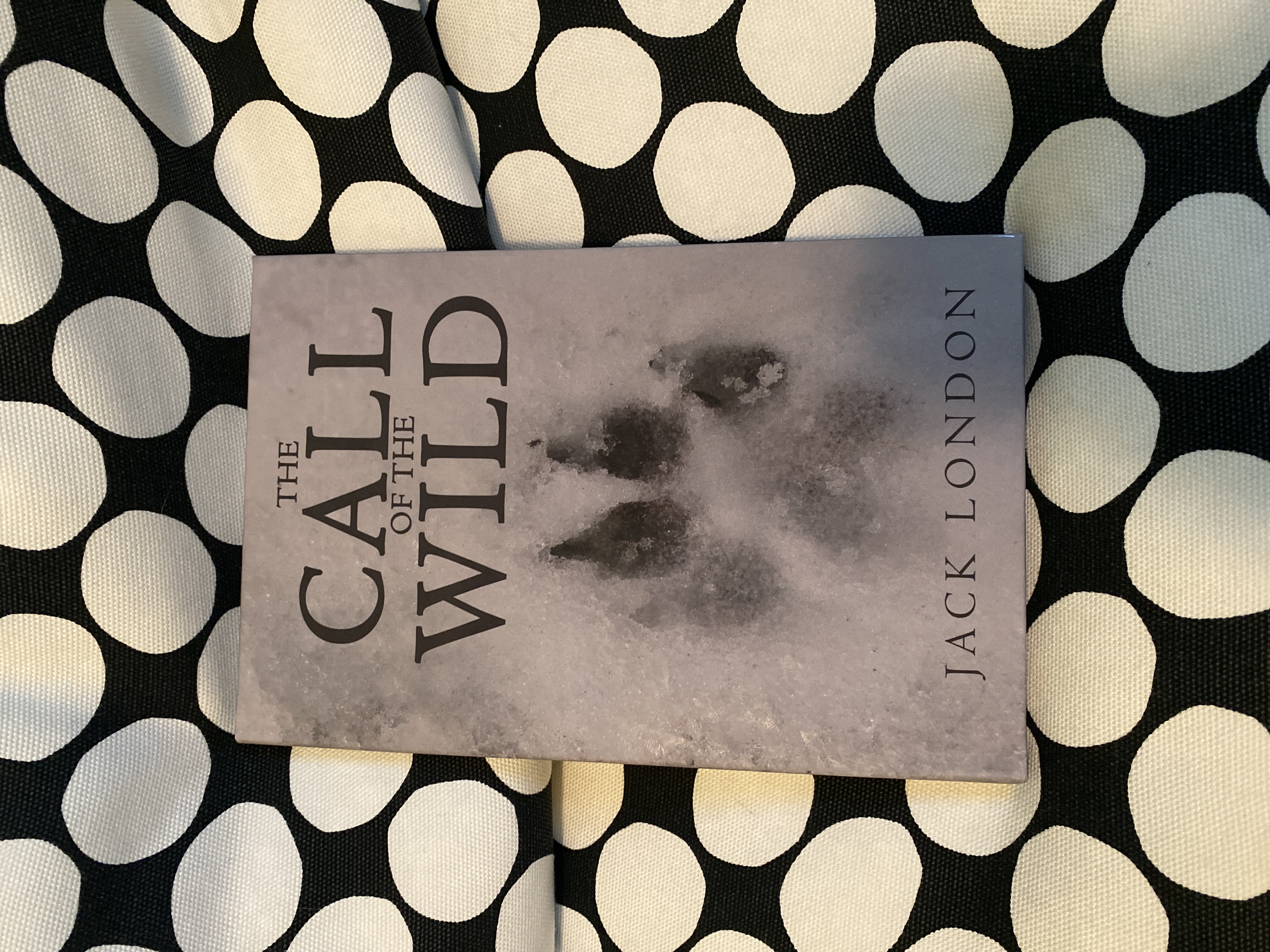 9781645940098 book cover