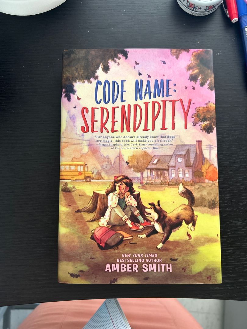 Code Name: Serendipity