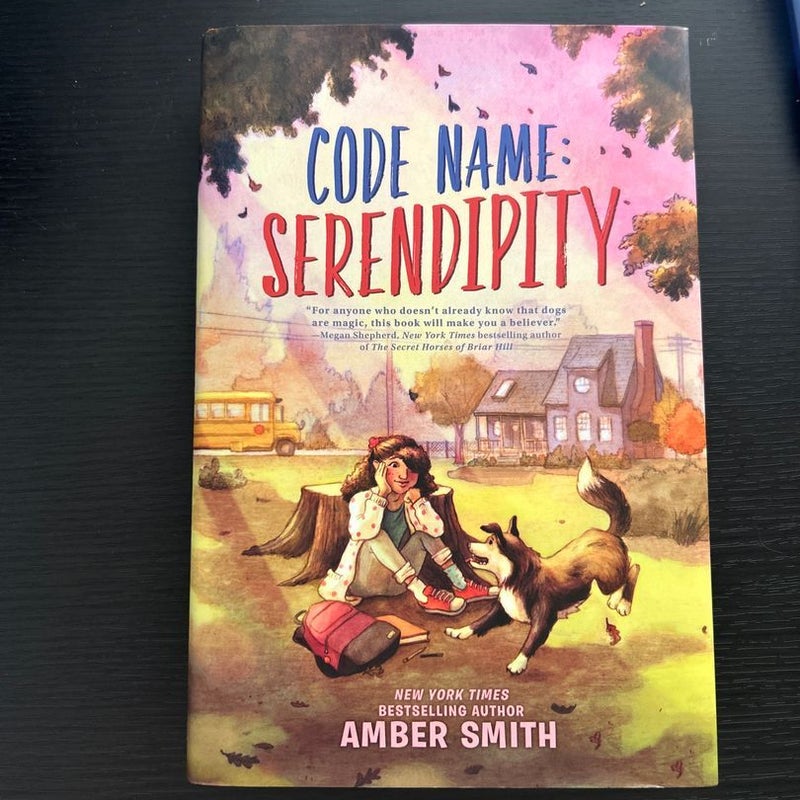 Code Name: Serendipity