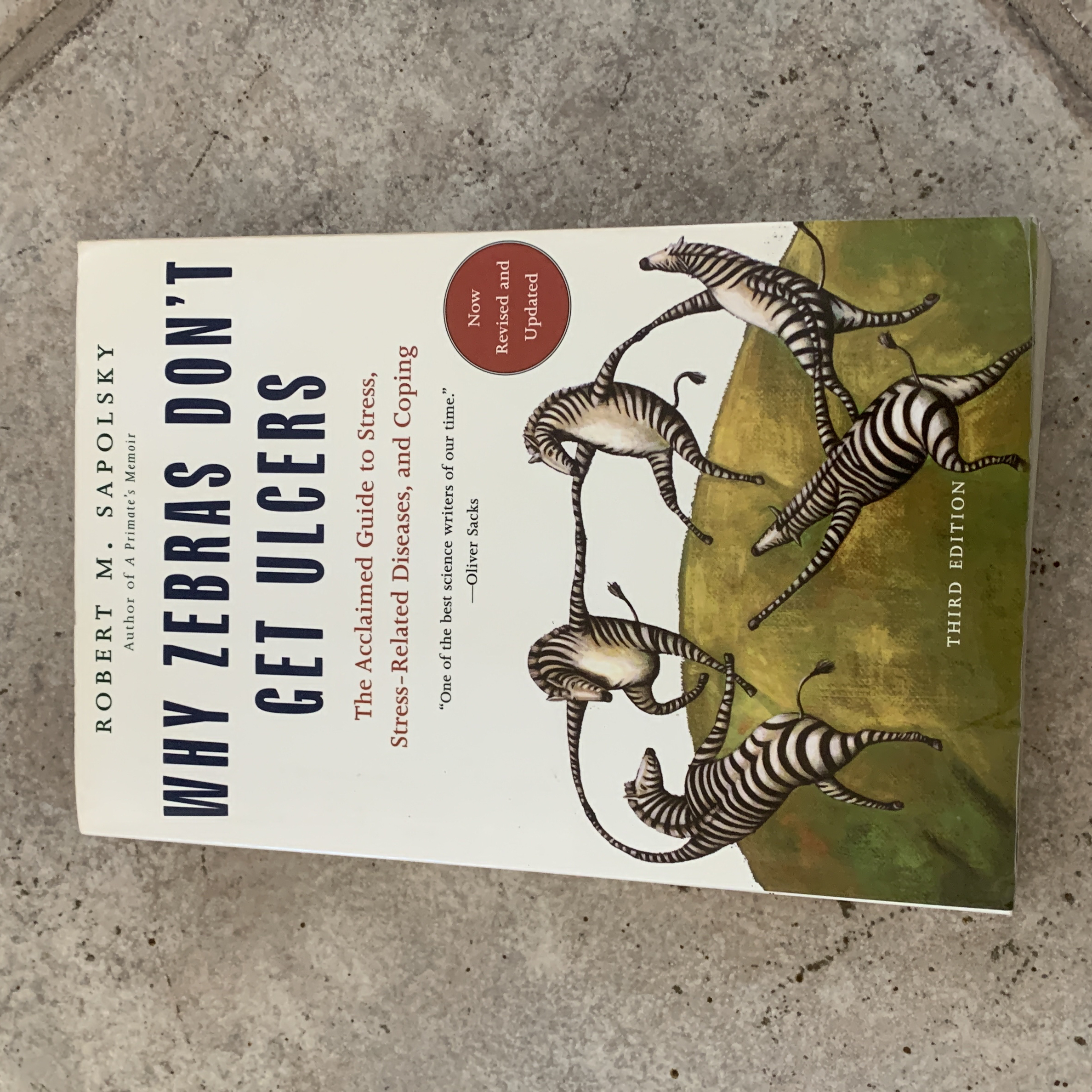 Sale image for a835899e-b9c1-455d-8d52-d28e96b98093-3b8nxEdemMPfXQyXYng0MTqLiee2