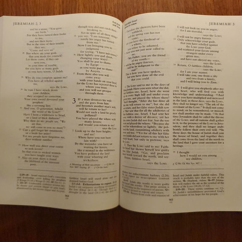 The New Oxford Annotated Bible with the Apocrypha, New Revised Standard Version