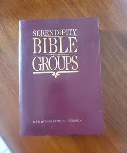 NIV Serendipity Bible for Groups