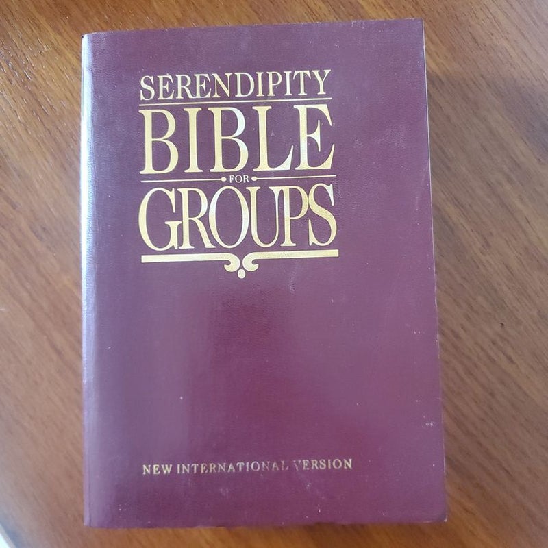 NIV Serendipity Bible for Groups