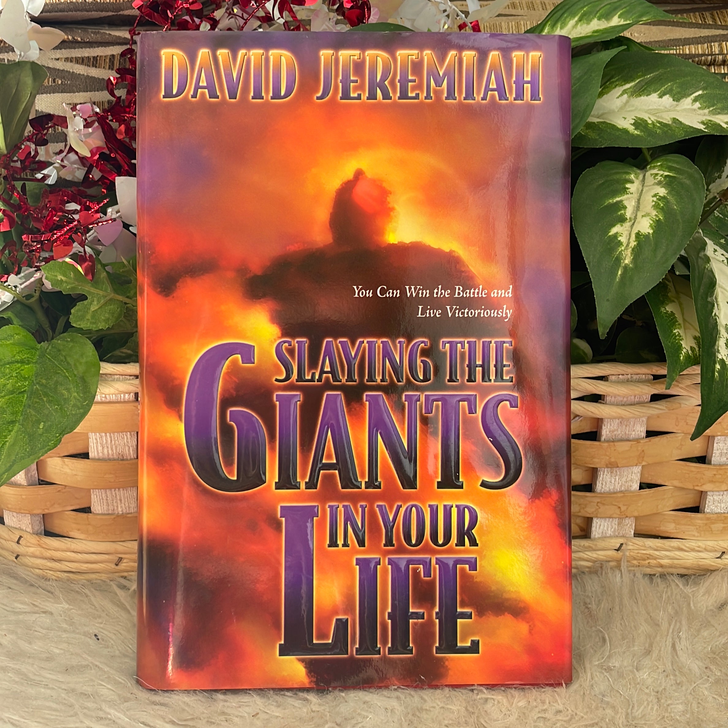 Slaying the Giants in Your Life