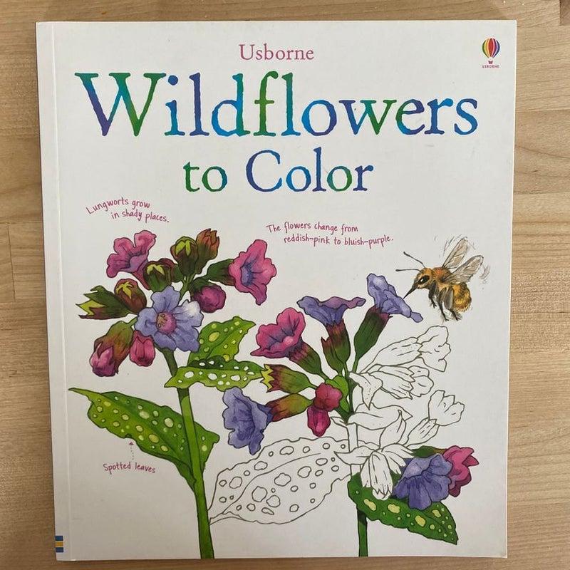 Wildflowers to Color