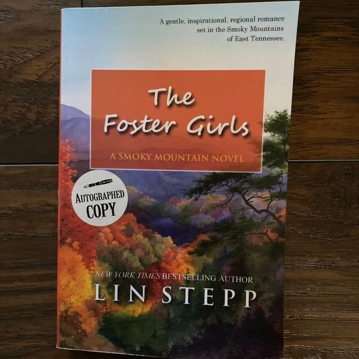 The Foster Girls by Lin Stepp