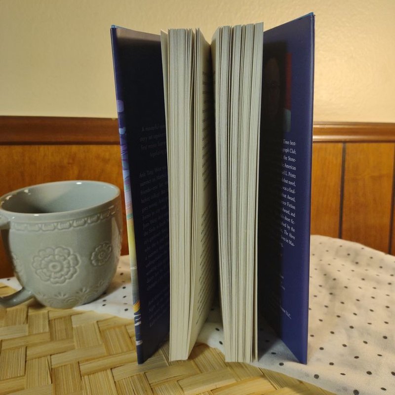 A scatter of light by Malinda Lo, Hardcover | Pangobooks