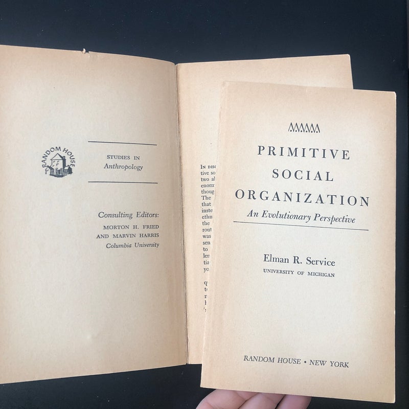 Primitive Social Organization: an evolutionary perspective