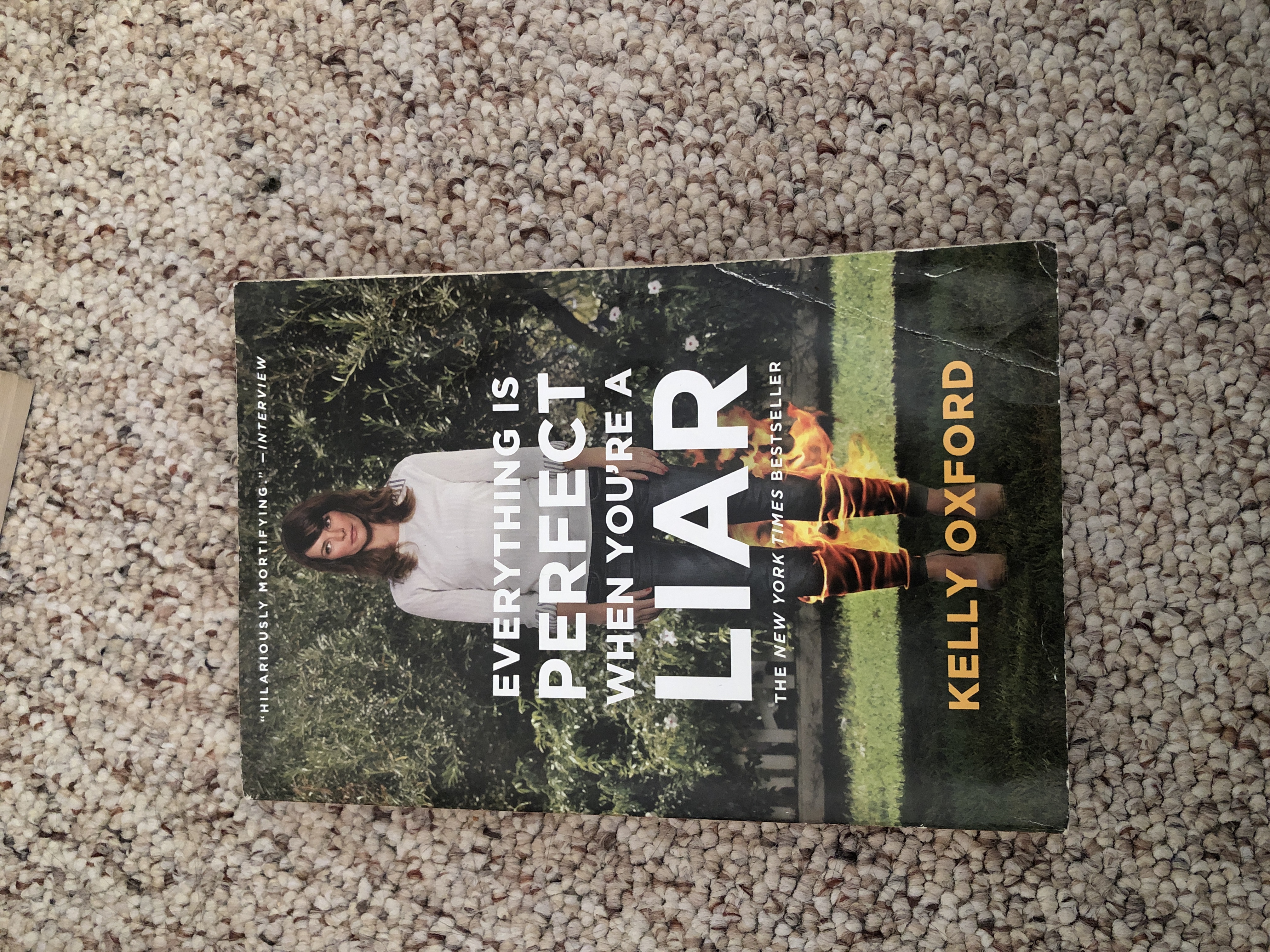 Everything Is Perfect When You're a Liar