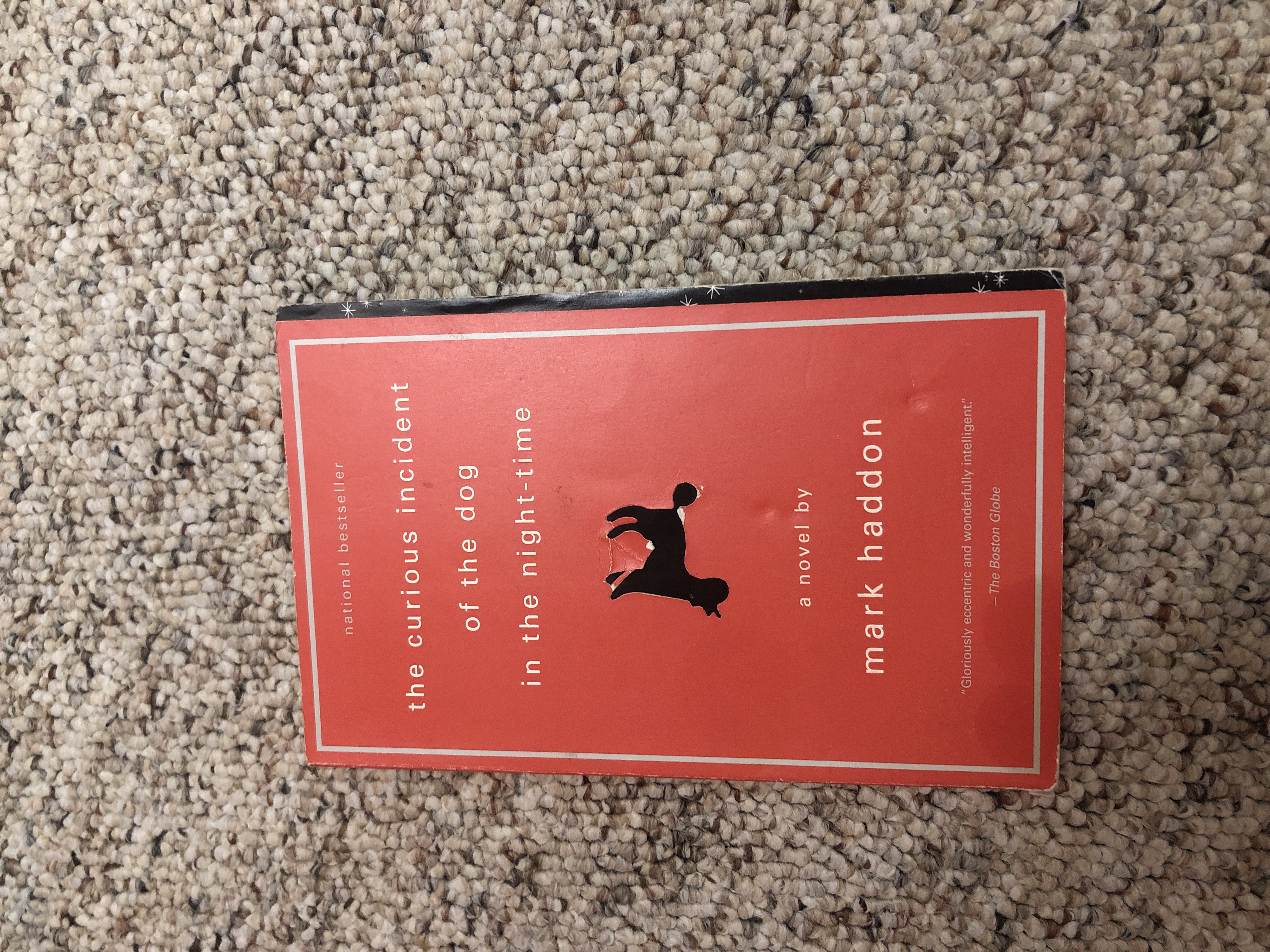 The Curious Incident of the Dog in the Night-Time