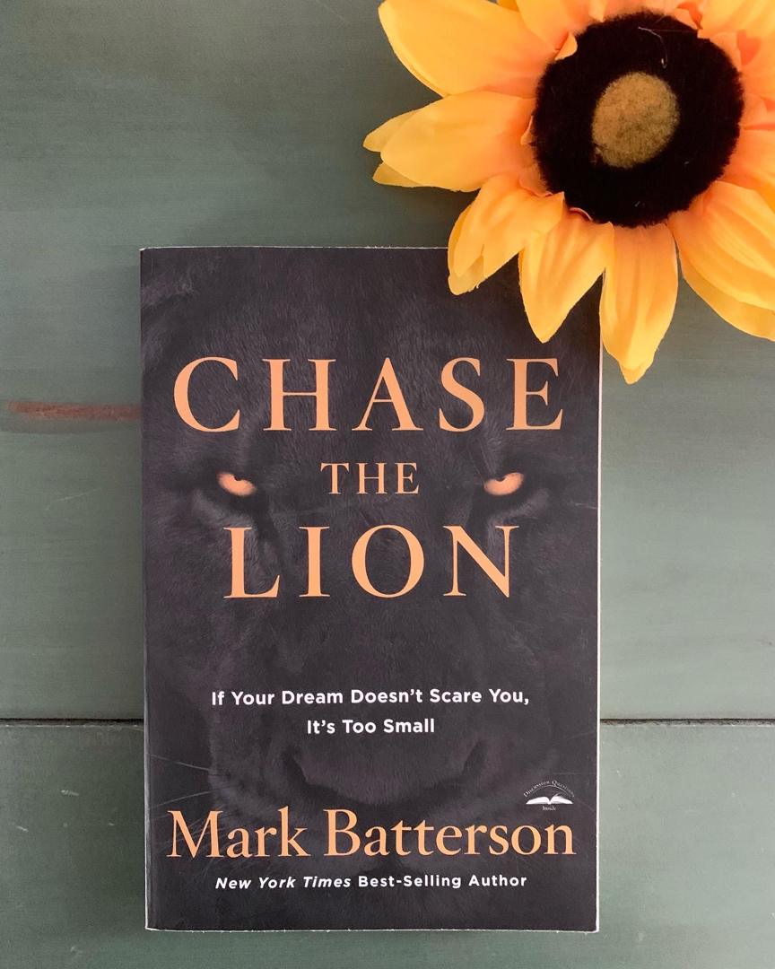 Chase the Lion