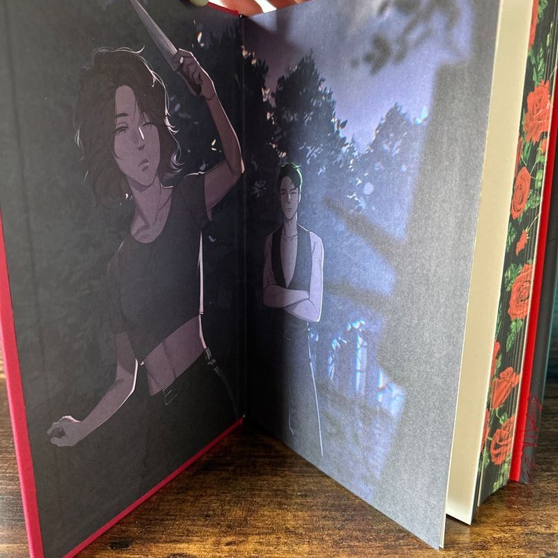 Cruel illusions [Fairyloot Special Edition]