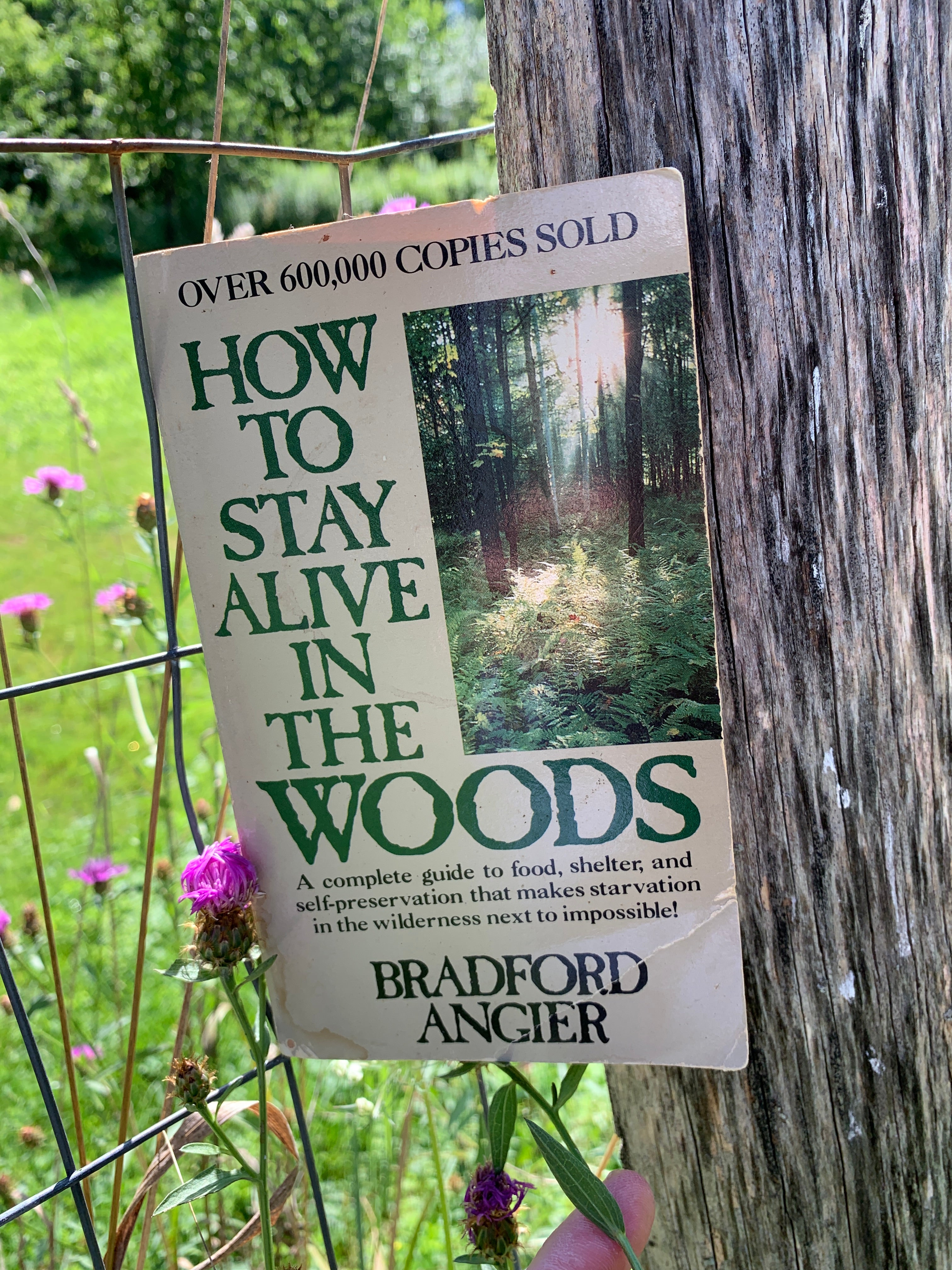 How to Stay Alive in the Woods