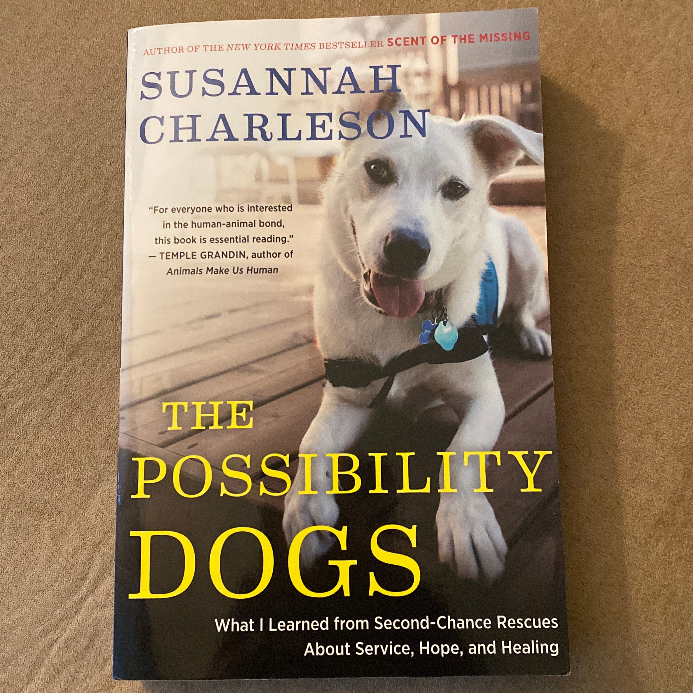 The Possibility Dogs