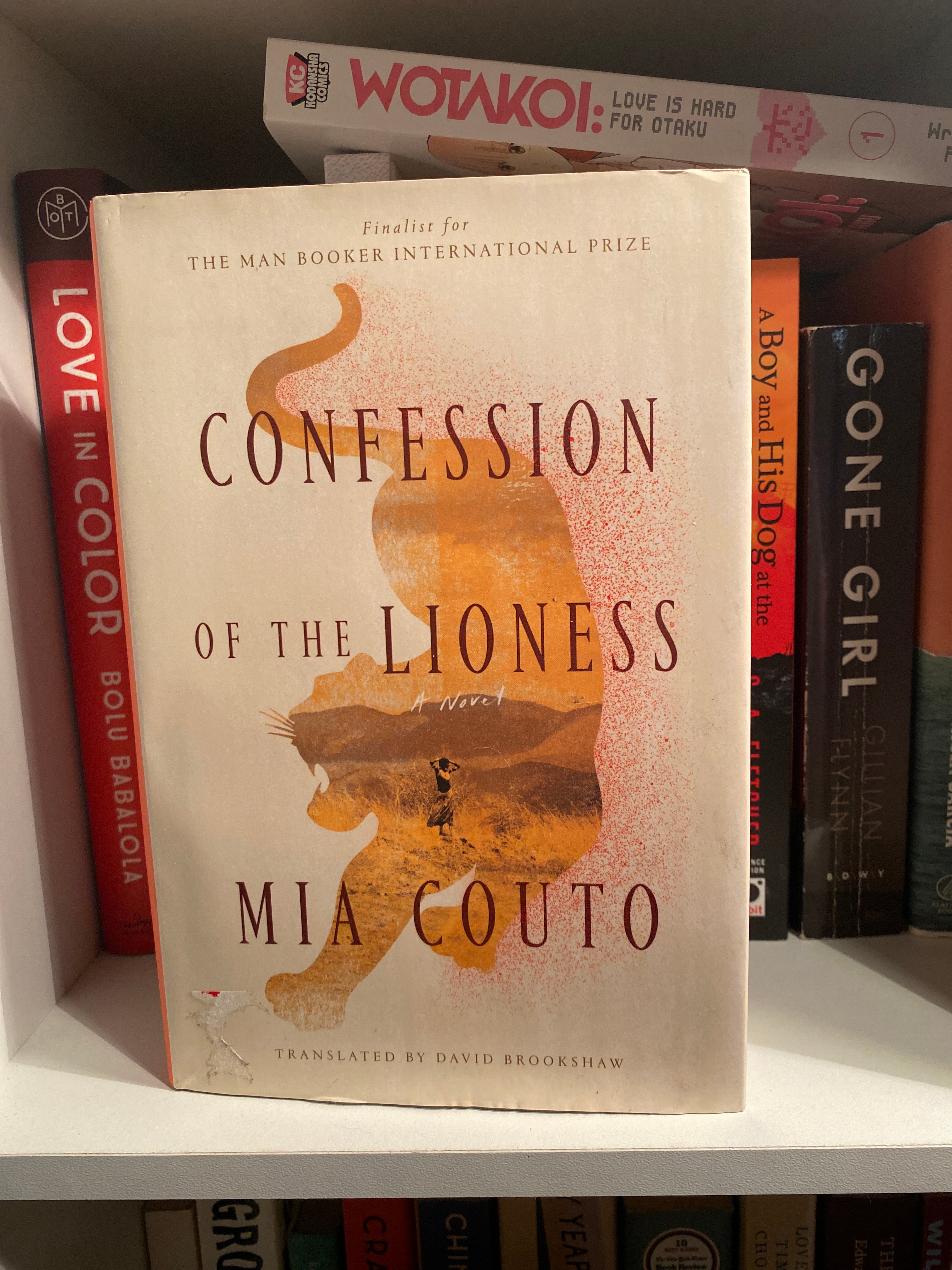 Confession of the Lioness