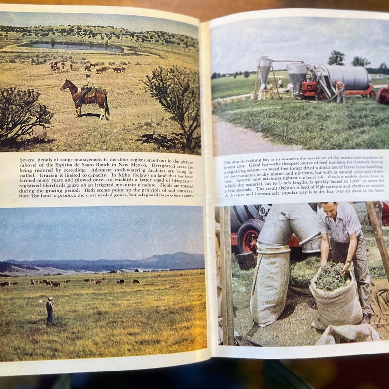 Grass yearbook of Agriculture 1948