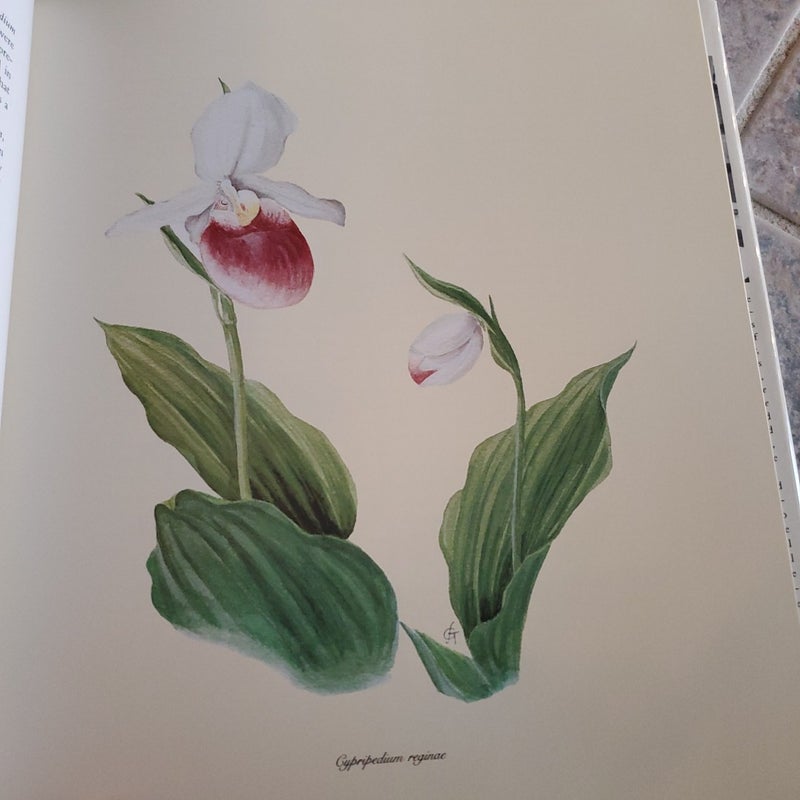 The Complete Flower Paintings and Drawings of Graham Stuart Thomas