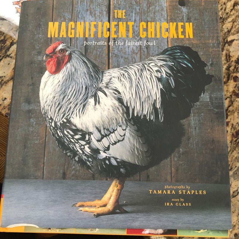 The Magnificent Chicken