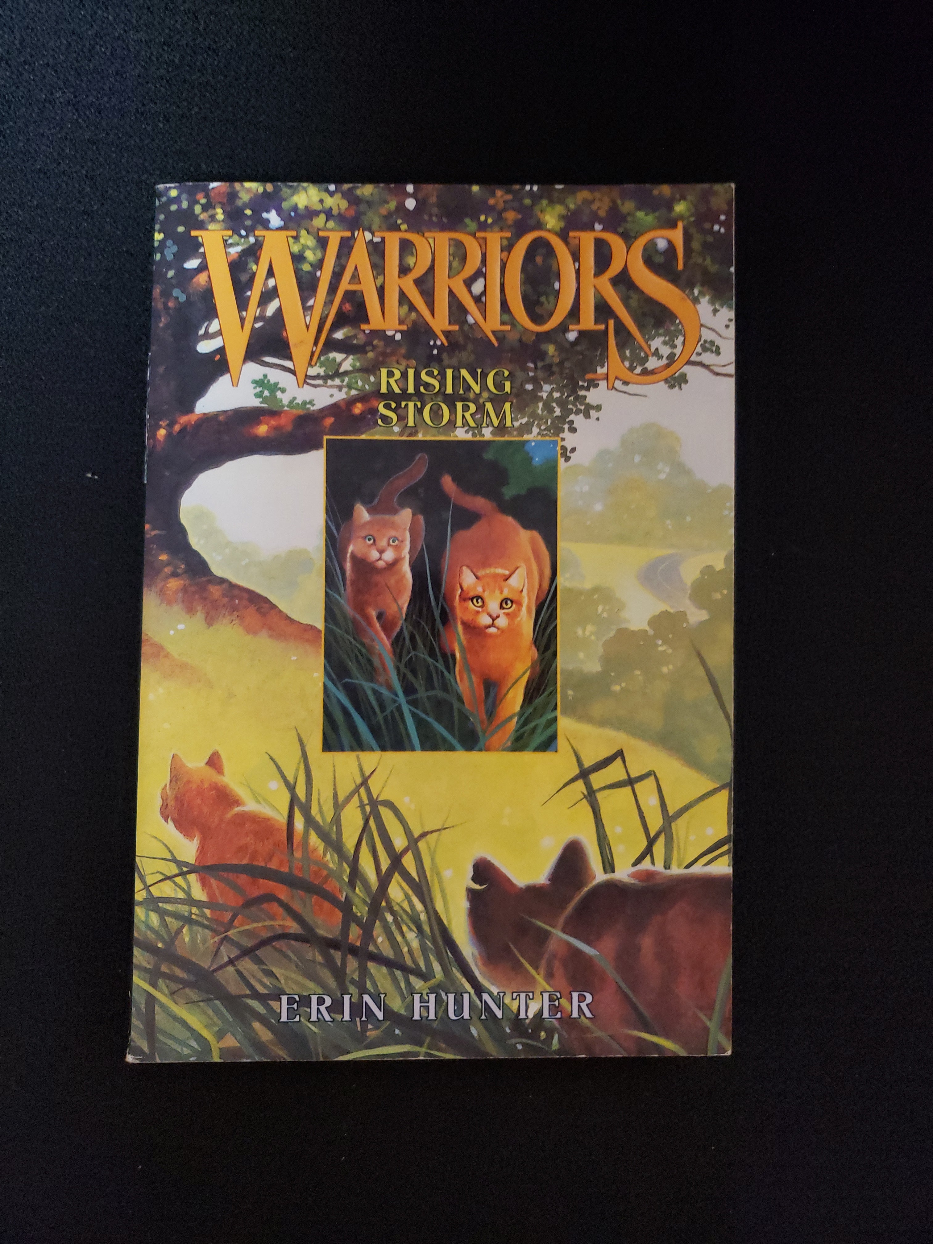 Warriors #4: Rising Storm