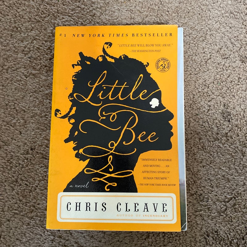 Little Bee