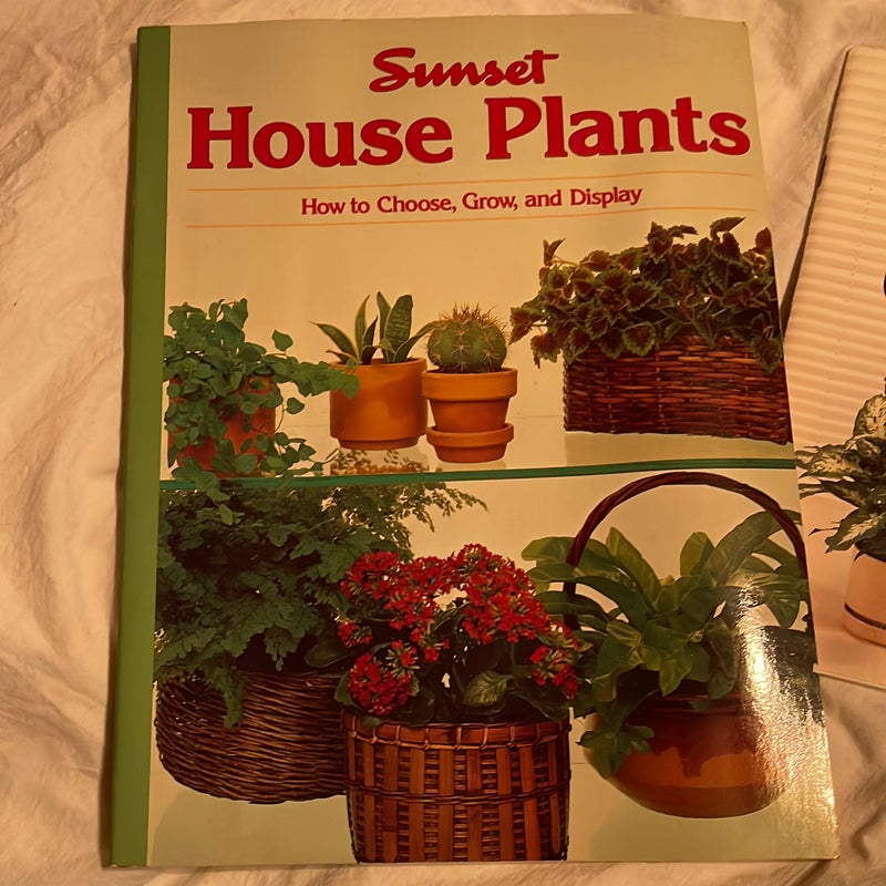 House Plants & The indoor gardener