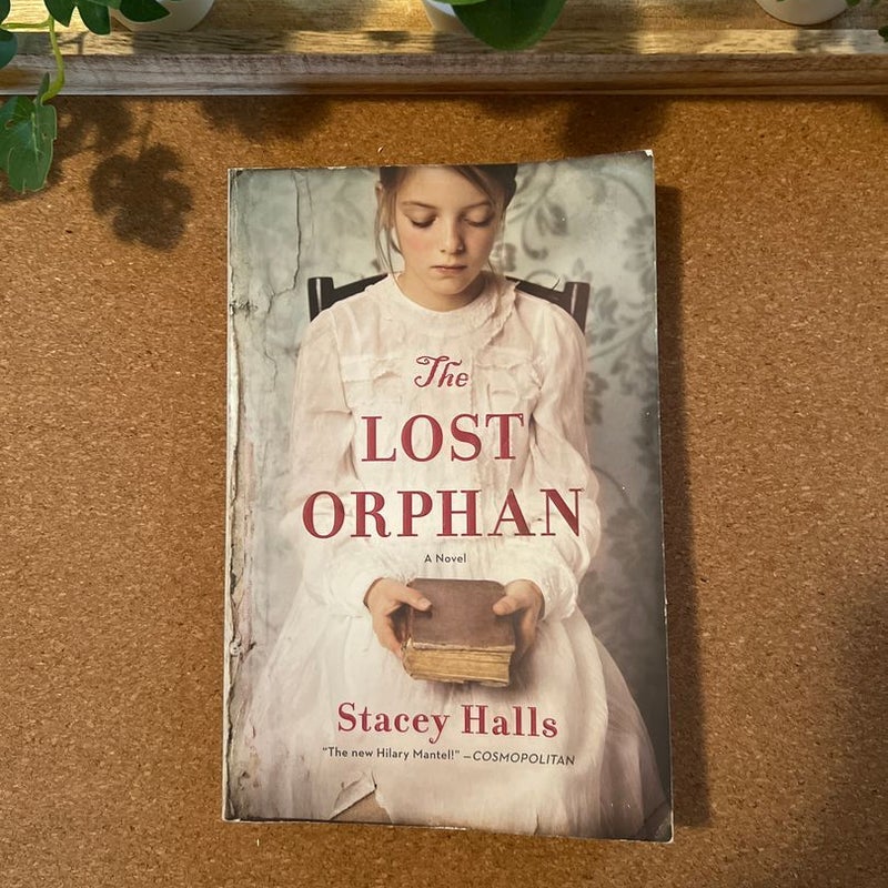 The Lost Orphan