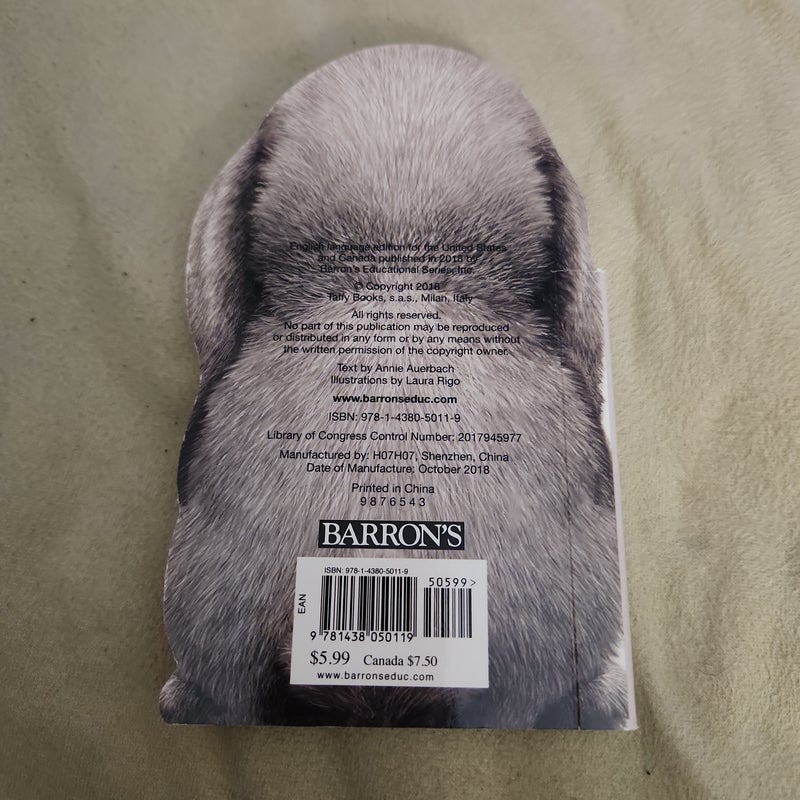 Furry Bunny