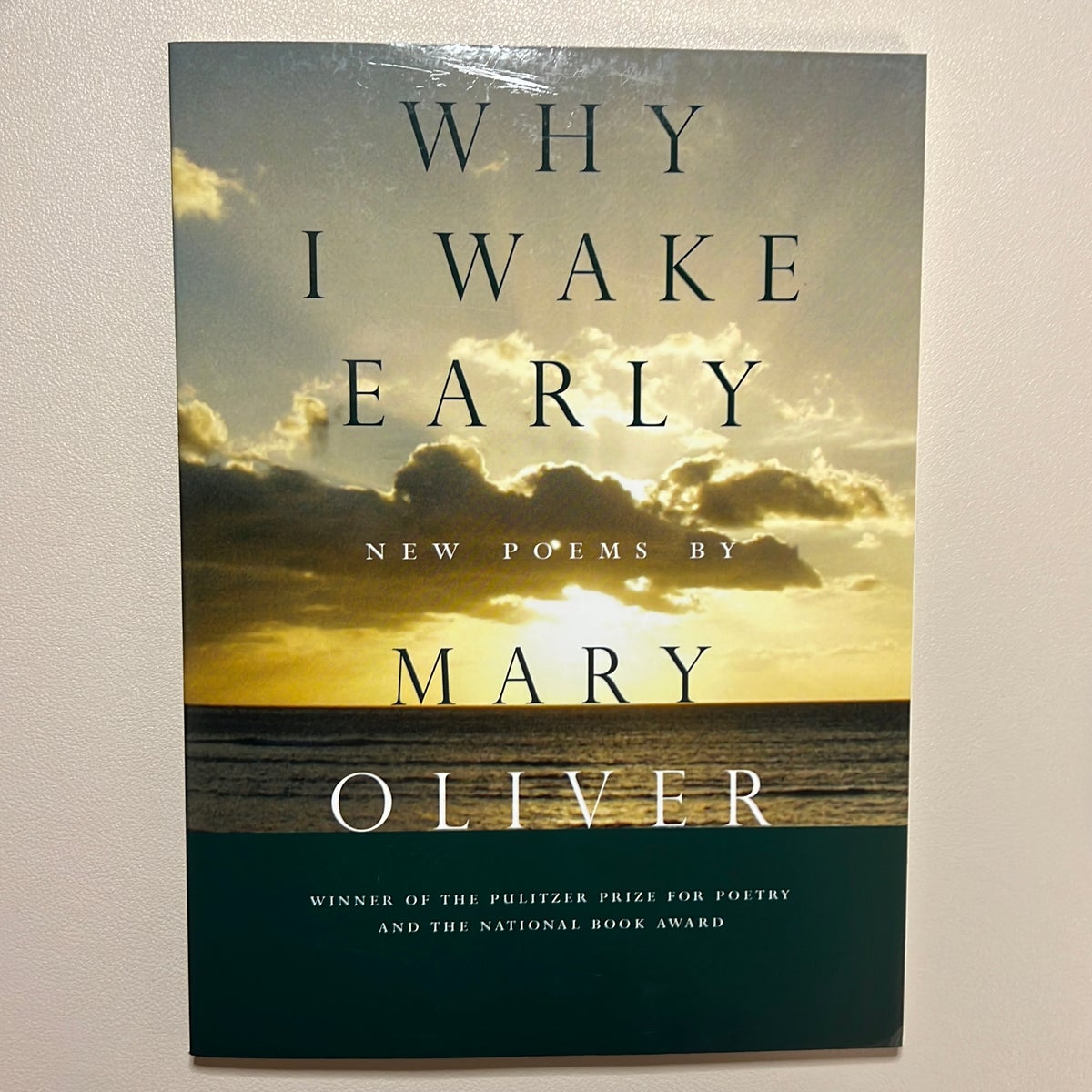 Why I Wake Early by Mary Oliver