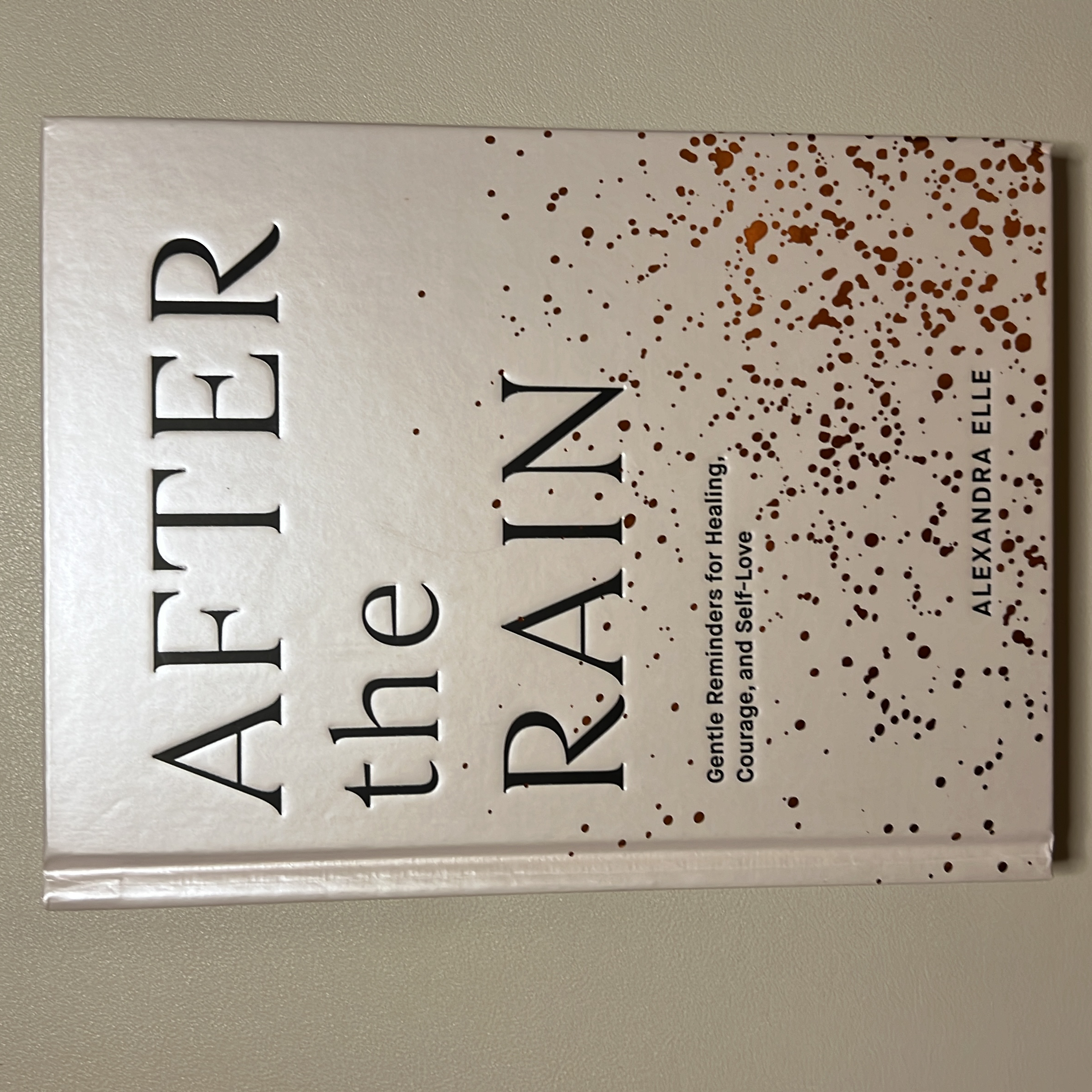 Sale image for b6f9dc34-015d-48cb-9a88-08f95486c12f-4OIbDVI82XZWVg6m2HbHXUVa3Ja2