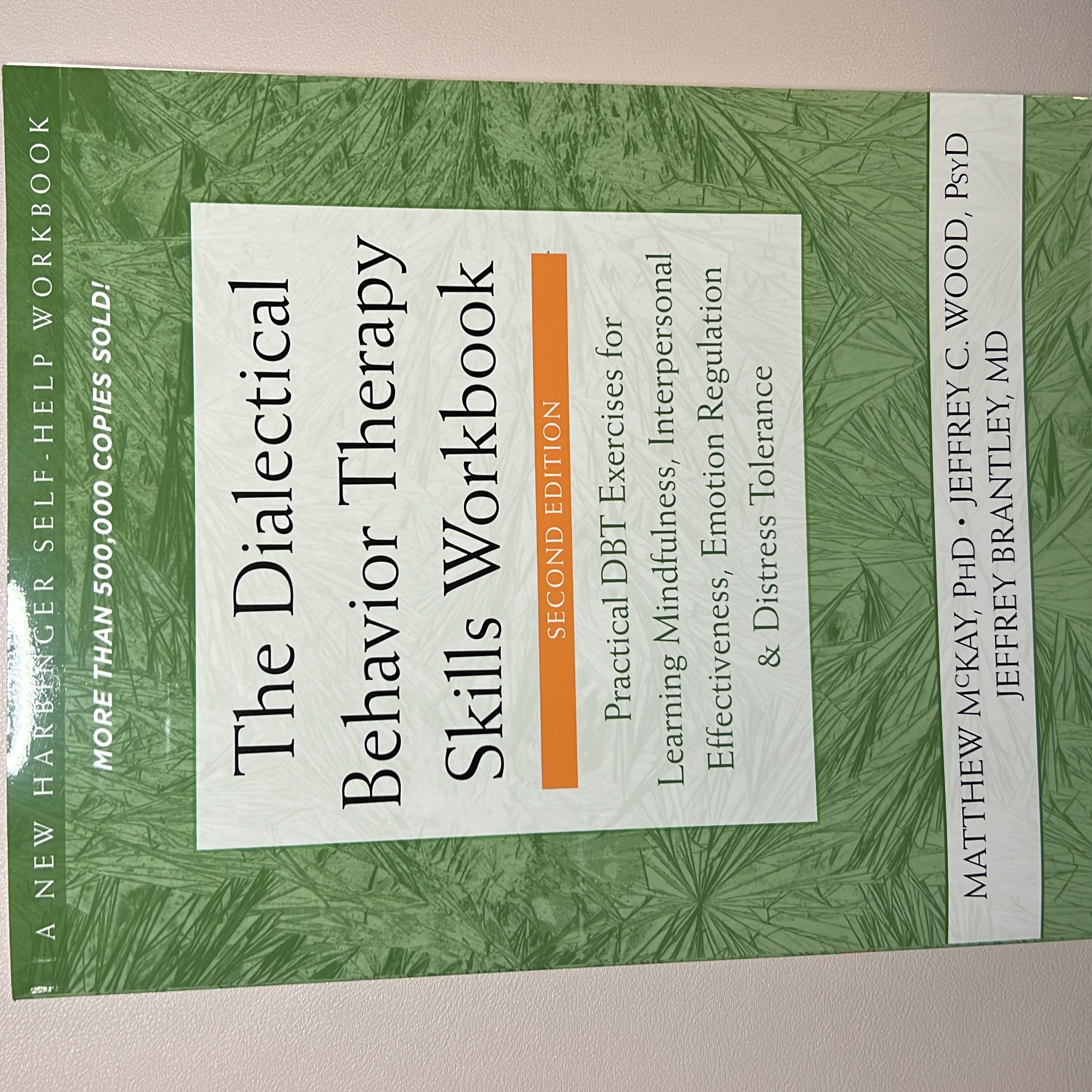 The Dialectical Behavior Therapy Skills Workbook