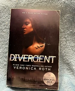 Divergent Movie Edition
