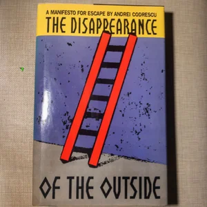 The Disappearance of the Outside