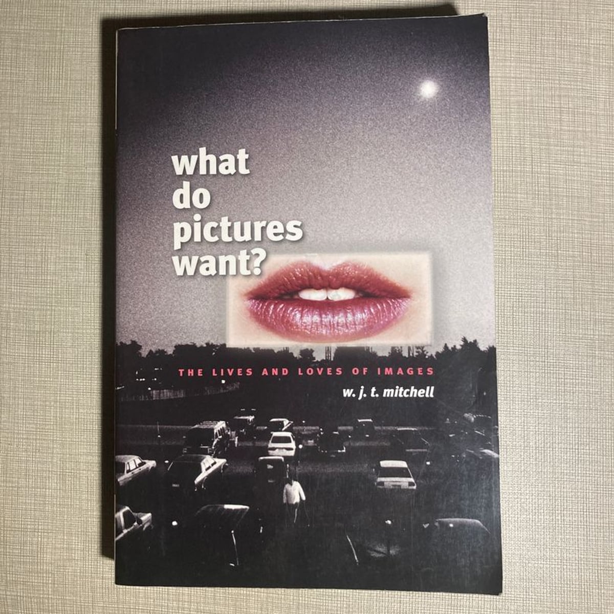 What Do Pictures Want? by W. J. T. Mitchell, Paperback