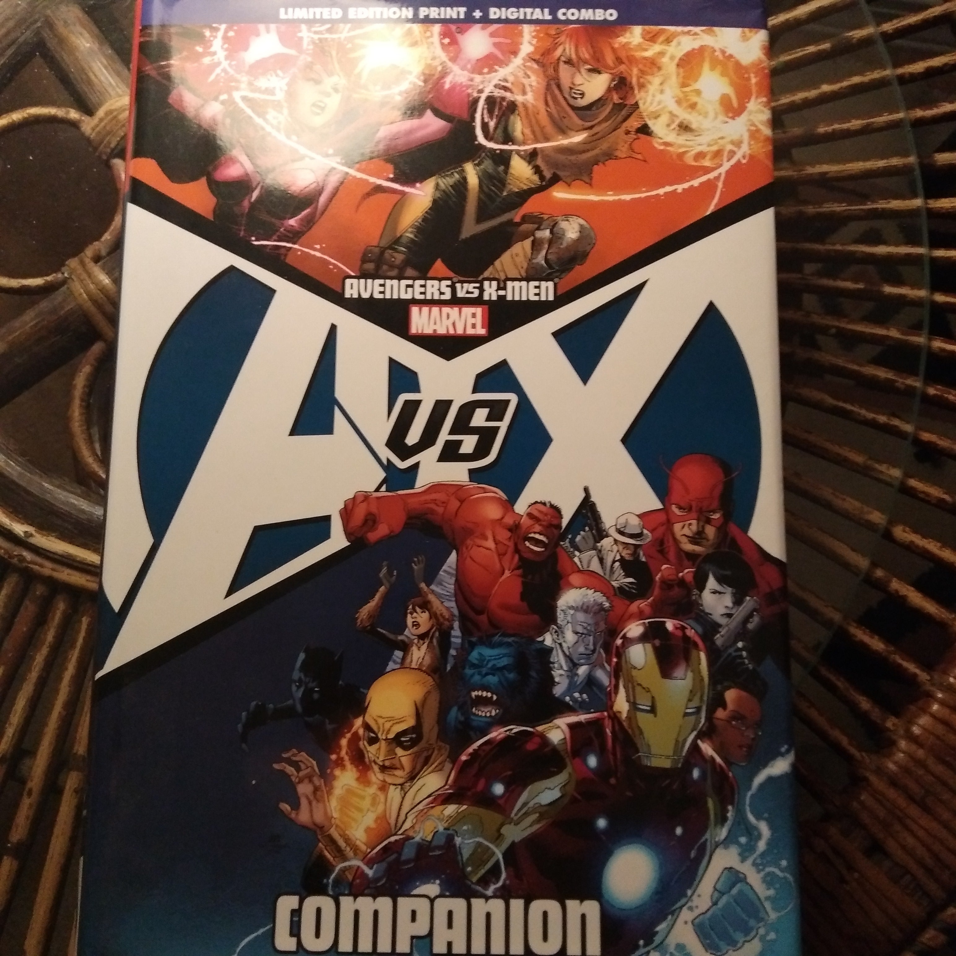 Avengers vs. X-Men Companion