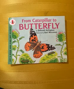 From Caterpillar to Butterfly 
