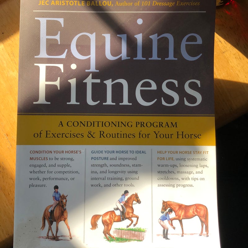 Equine Fitness