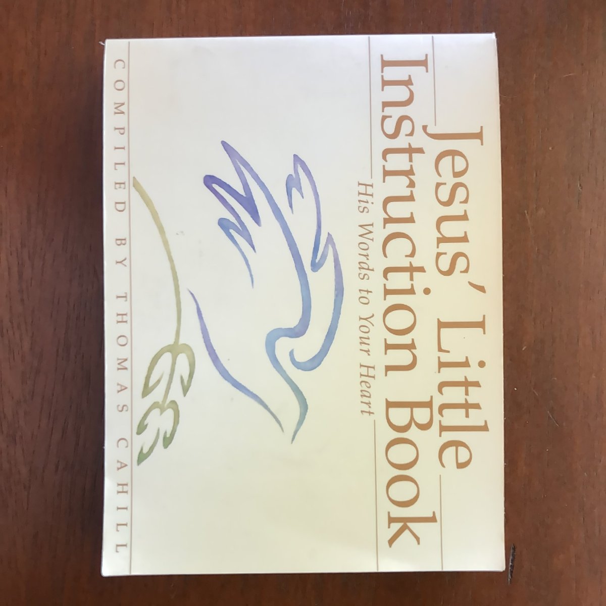 Jesus' Little Instruction Book by Thomas Cahill