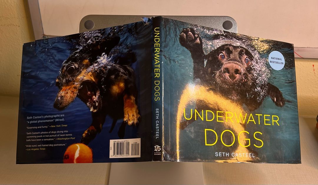 Underwater Dogs