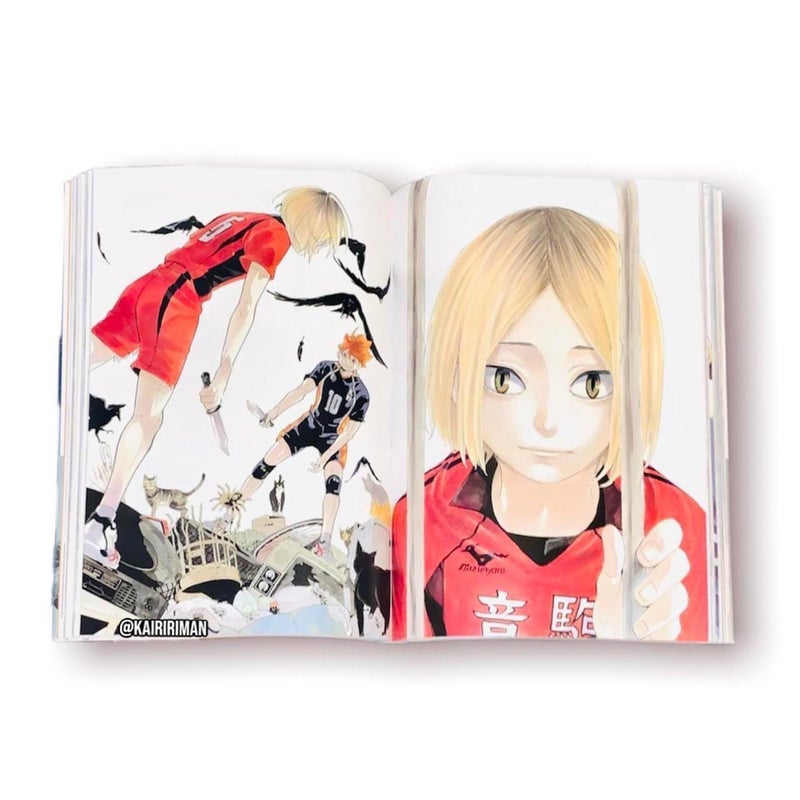 Haikyu!! Complete Illustration Book
