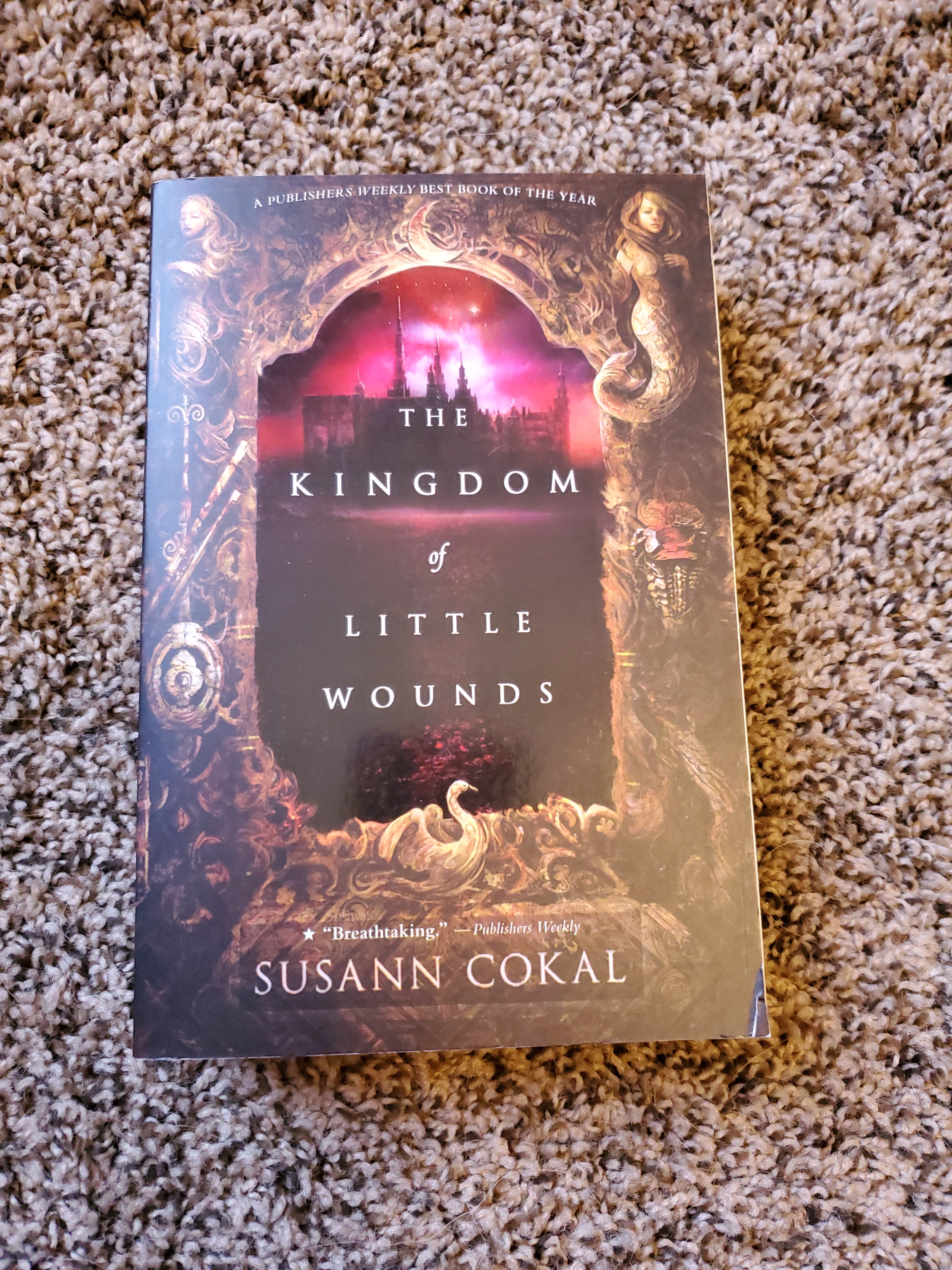 The Kingdom of Little Wounds