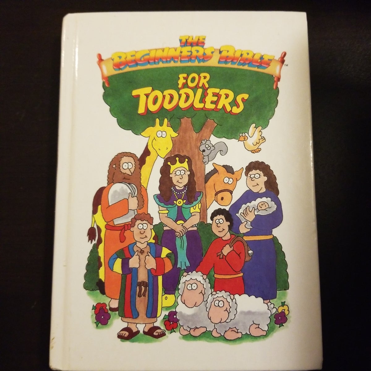 What Is The Best Bible For Toddlers