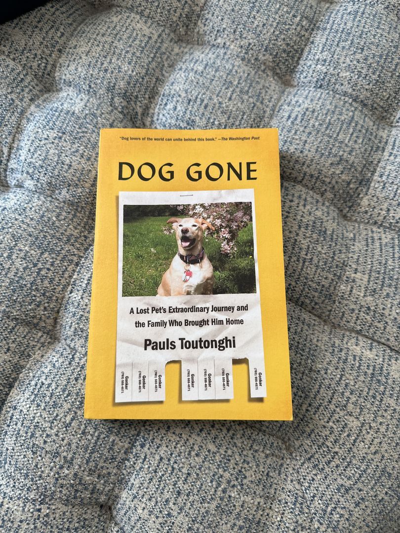 Dog Gone