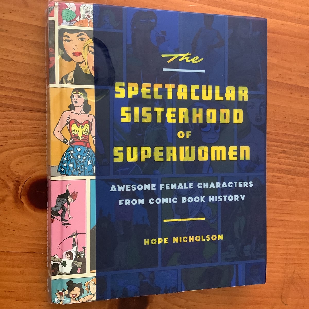 The Spectacular Sisterhood of Superwomen by Hope Nicholson, Hardcover ...