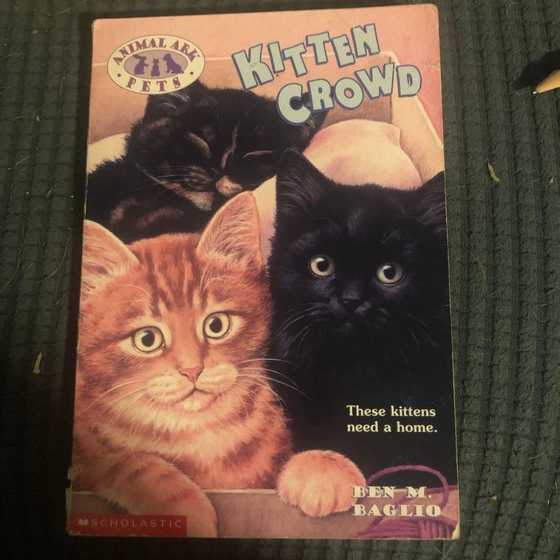 Kitten Crowd