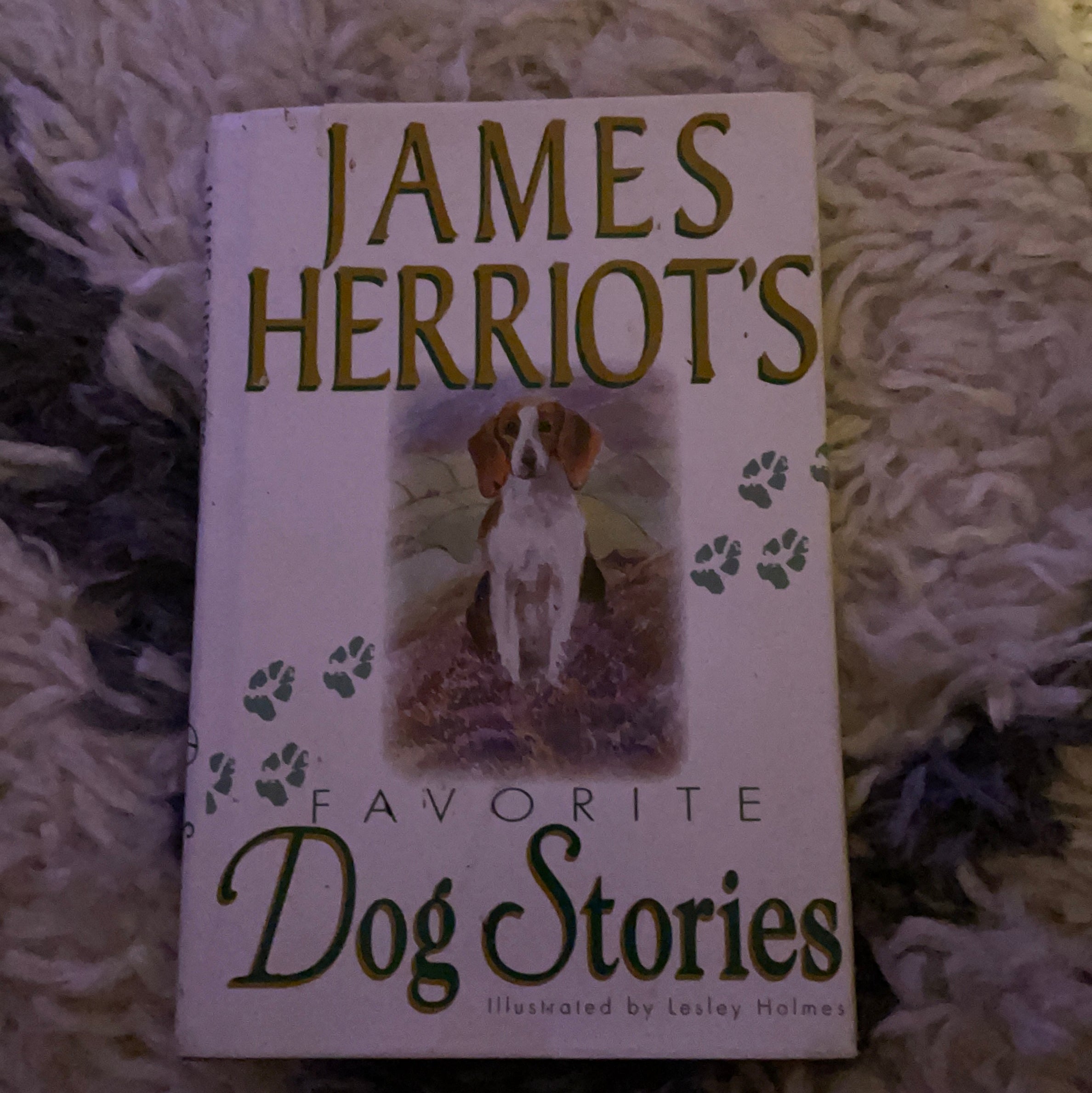 Sale image for 7158d0ca-9d45-46f3-8d47-b356f7ff88bf-4vOjYp95XahOa2tS0TFnXKVagnN2