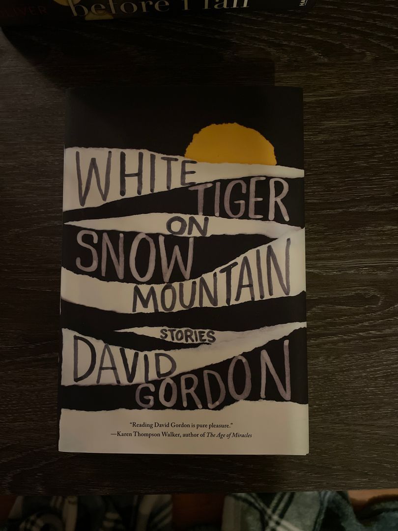 White Tiger on Snow Mountain