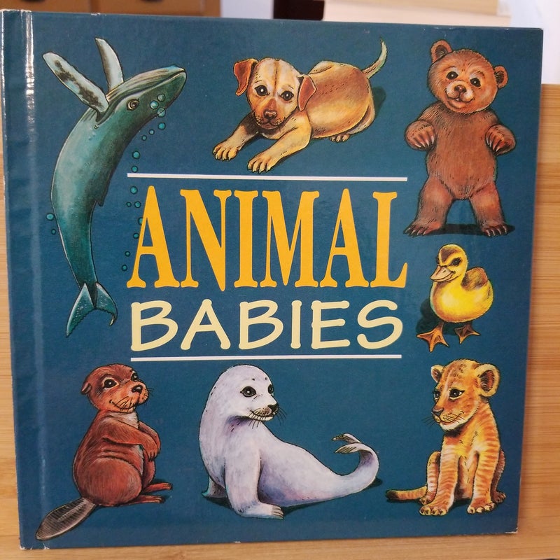 Animal Babies