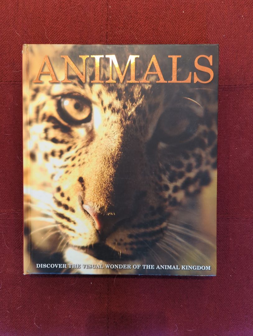 Animals